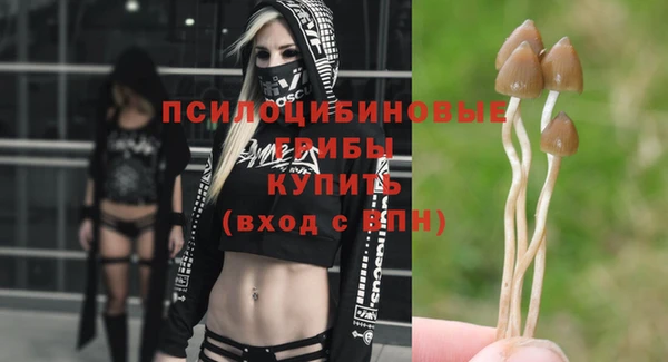 мяу мяу мука Горнозаводск