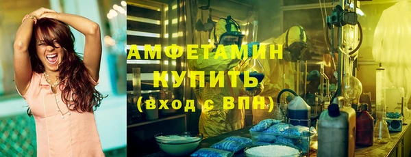 амф Гусиноозёрск