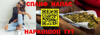 спиды Дубна