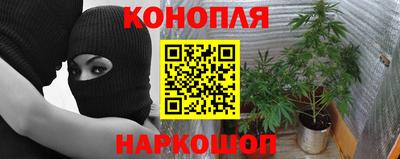 эйфоретик Донецк