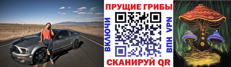Псилоцибиновые грибы Cubensis  MEGA ссылки  Мурманск 