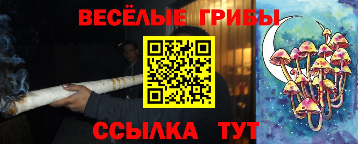 Мурманск  Псилоцибиновые грибы прущие грибы  Вход с VPN 