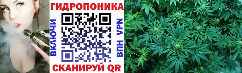 Конопля Ganja  Мурманск 